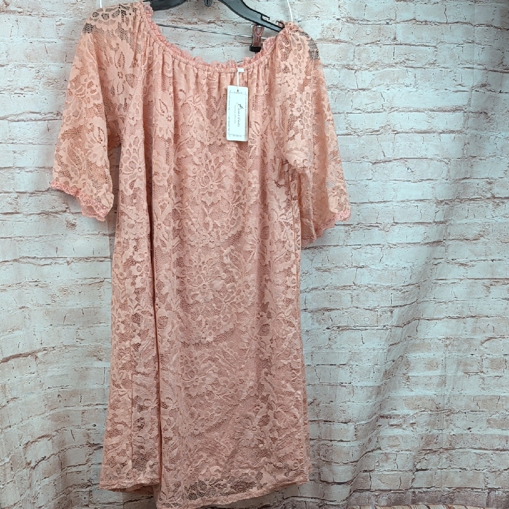 Twink Lady Elegant Lace Off-Shoulder Dress in Pink XL Nwt